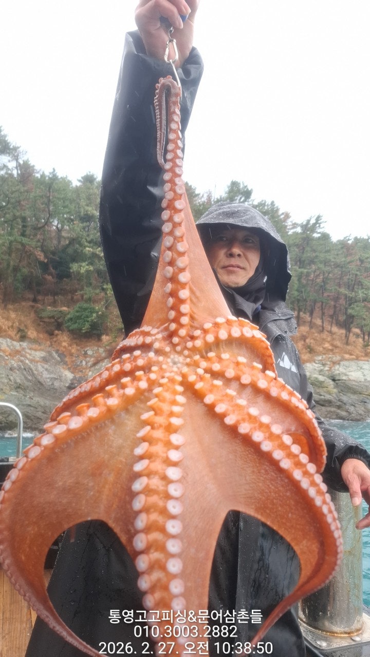 ����ڰ� �ø� �̹���