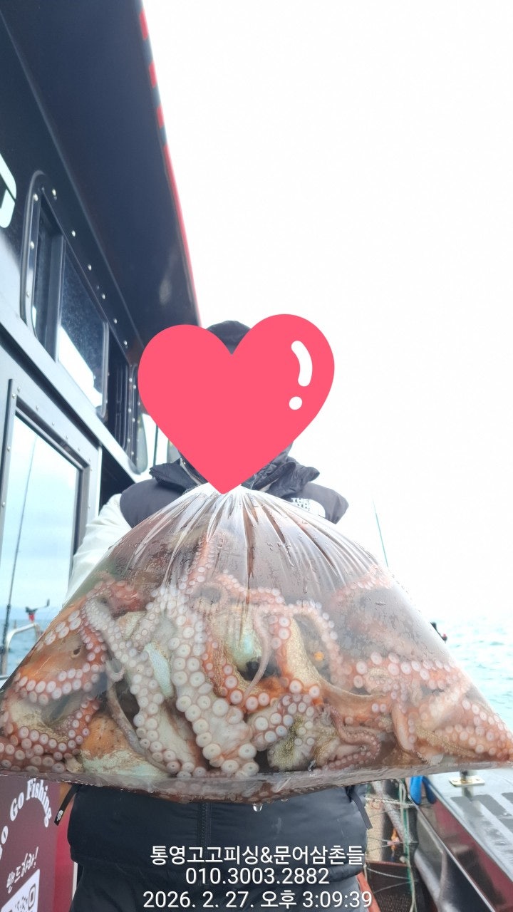 ����ڰ� �ø� �̹���