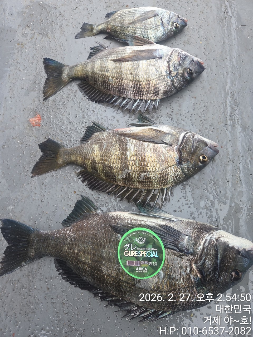 ����ڰ� �ø� �̹���