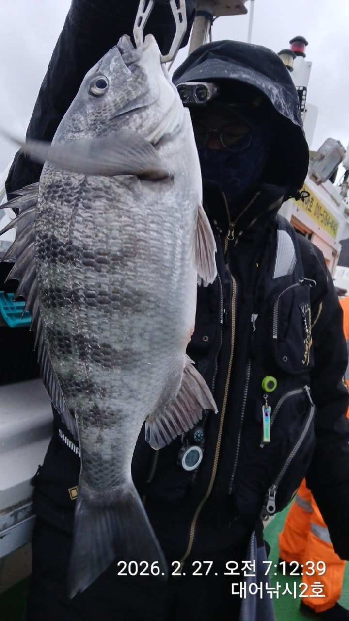 ����ڰ� �ø� �̹���