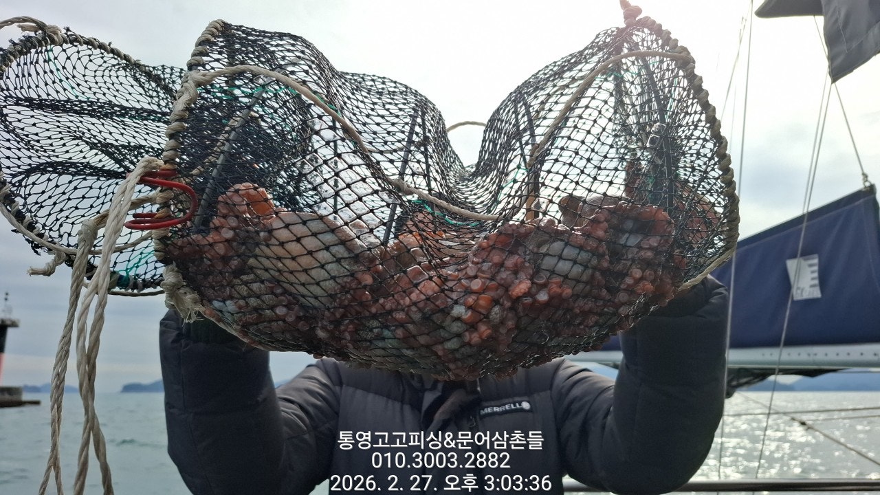 ����ڰ� �ø� �̹���