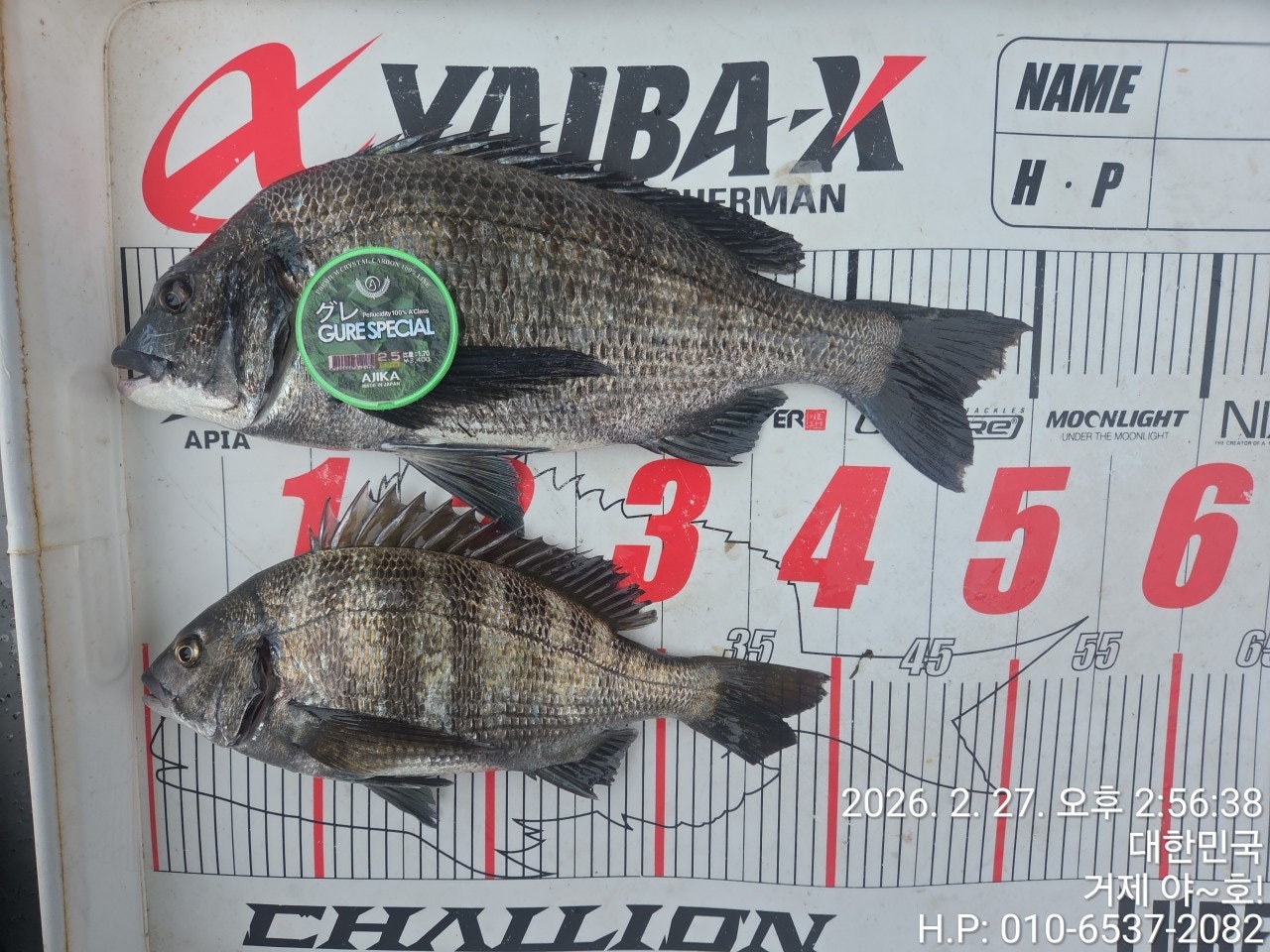 ����ڰ� �ø� �̹���