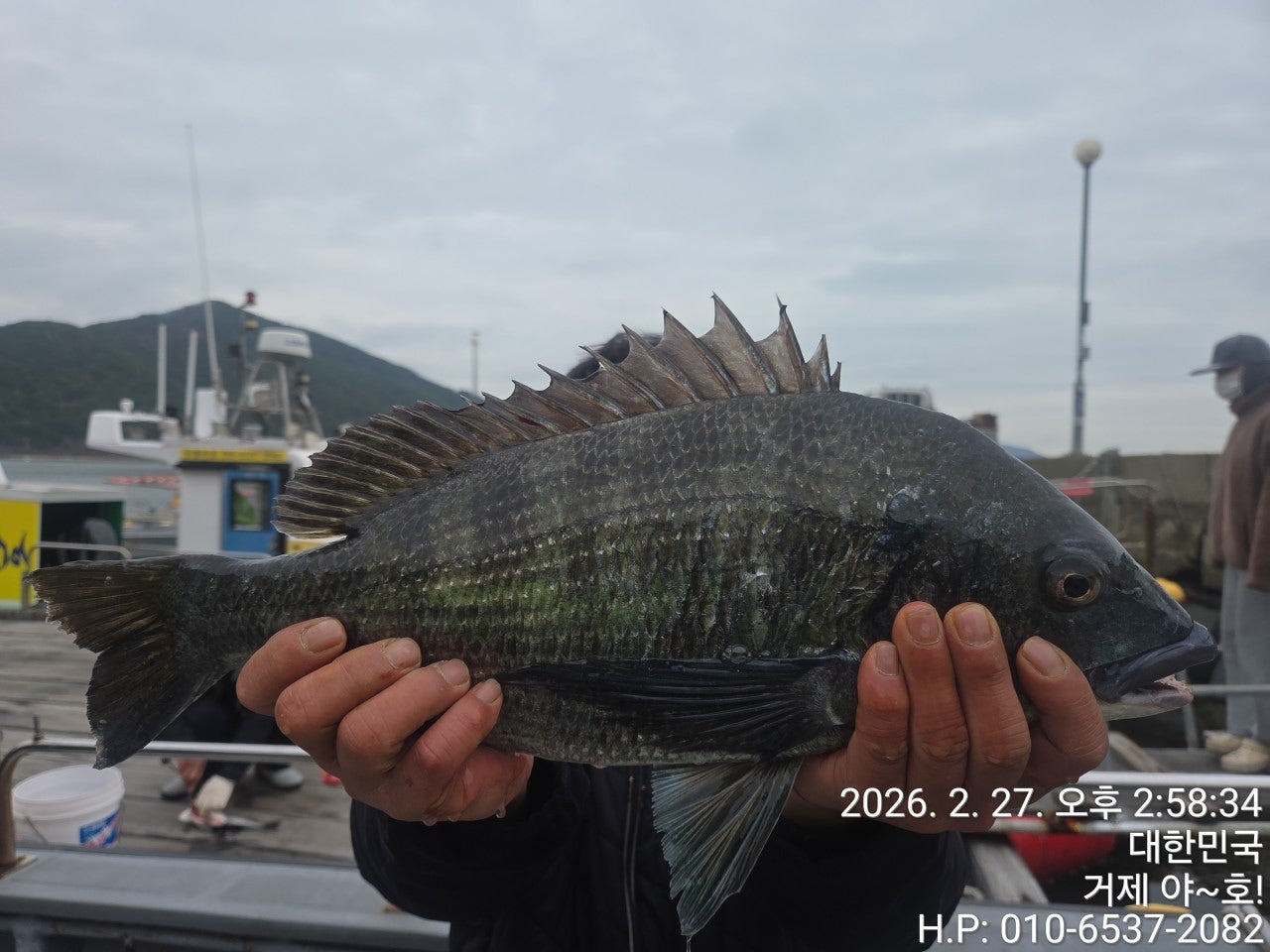 ����ڰ� �ø� �̹���