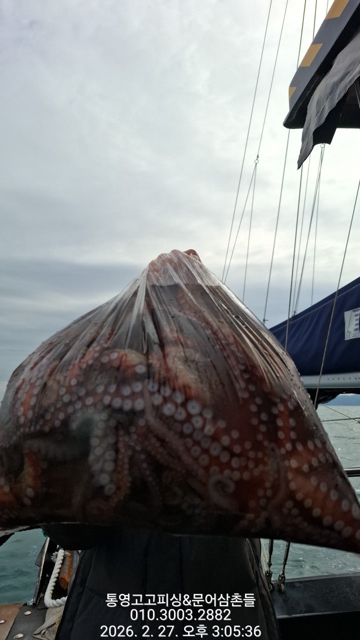 ����ڰ� �ø� �̹���