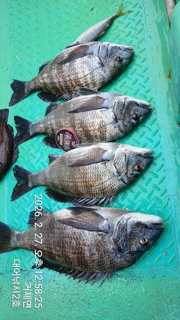 ����ڰ� �ø� �̹���