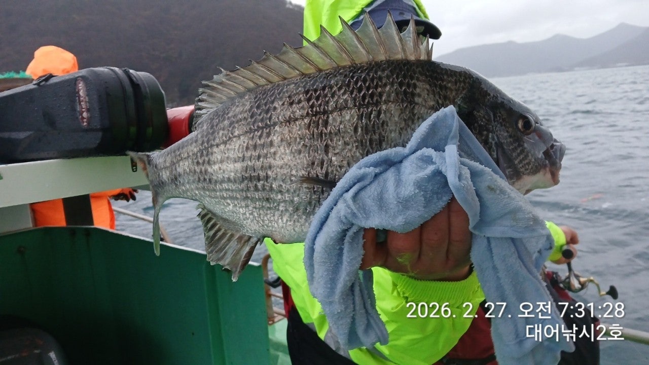 ����ڰ� �ø� �̹���