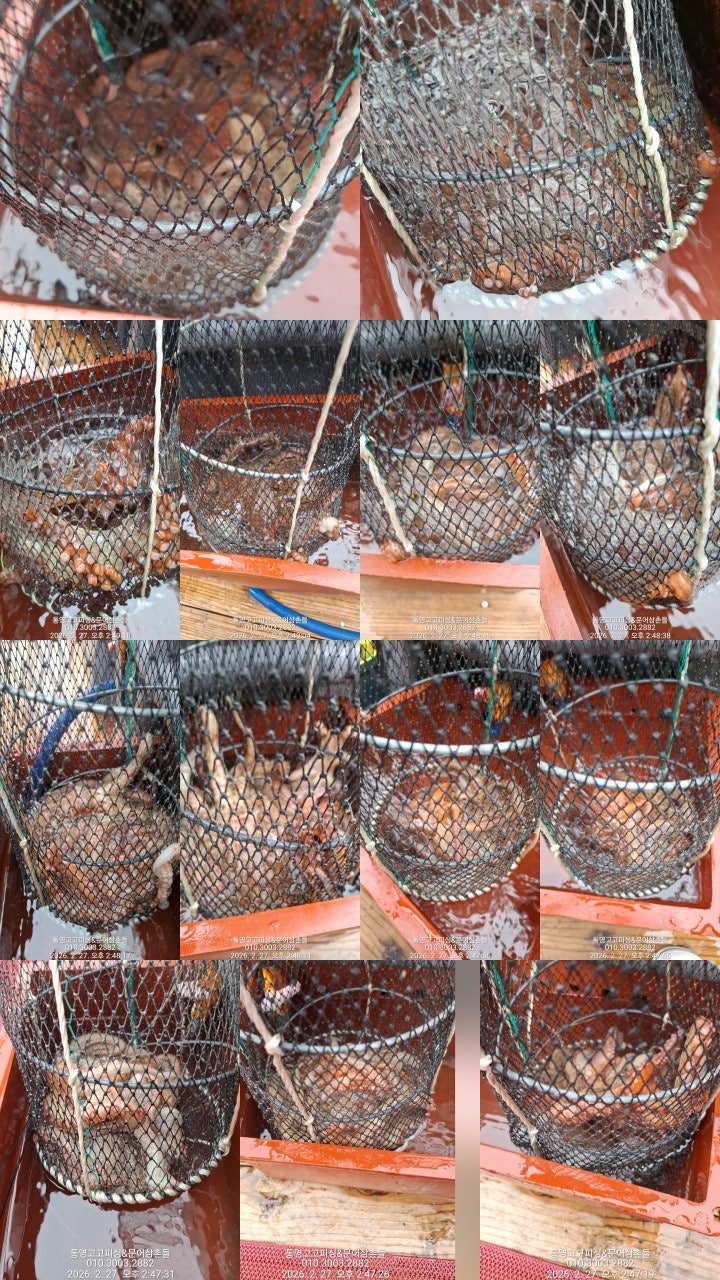 ����ڰ� �ø� �̹���