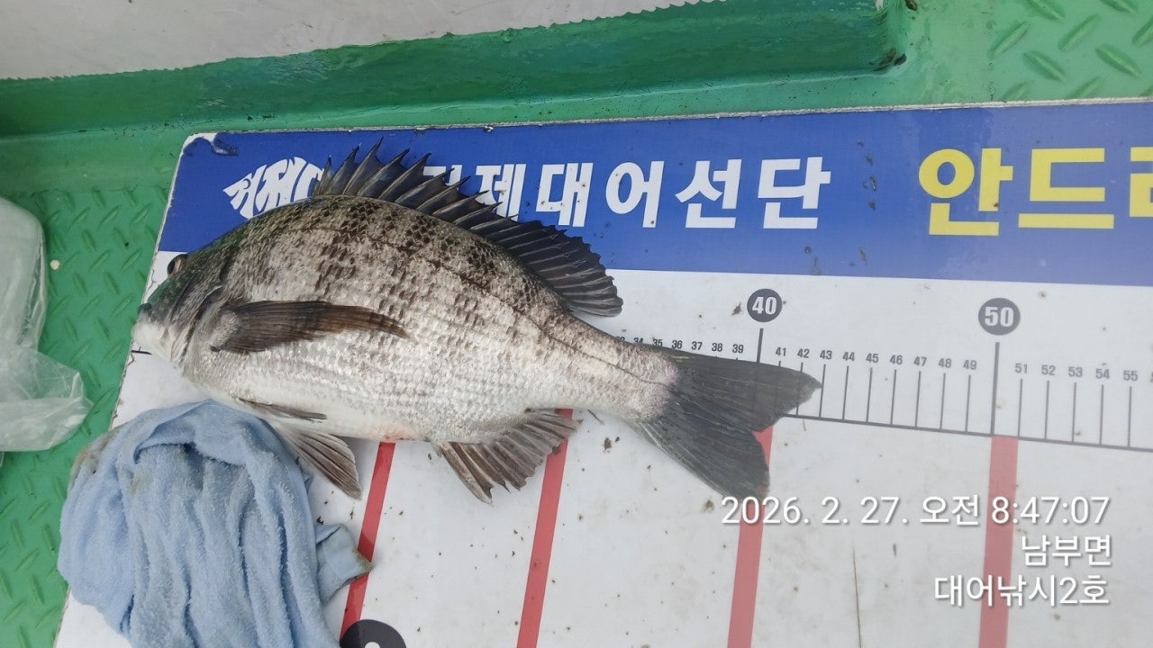 ����ڰ� �ø� �̹���