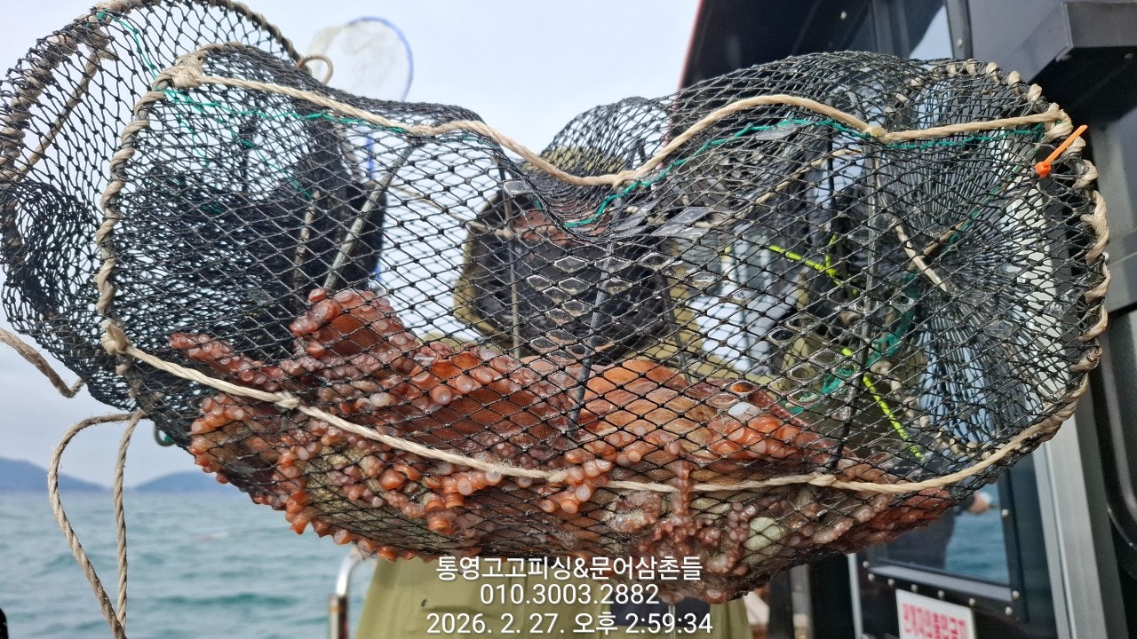 ����ڰ� �ø� �̹���