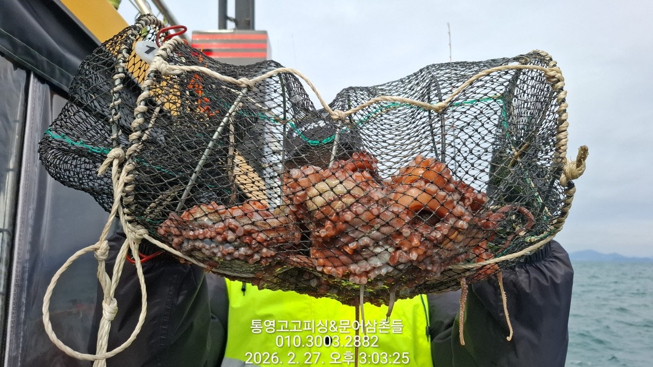 ����ڰ� �ø� �̹���