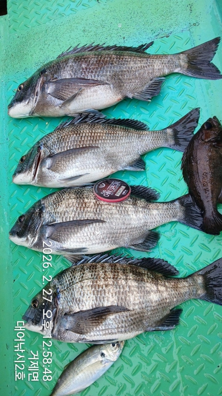 ����ڰ� �ø� �̹���