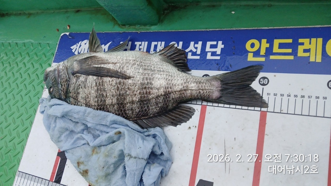 ����ڰ� �ø� �̹���