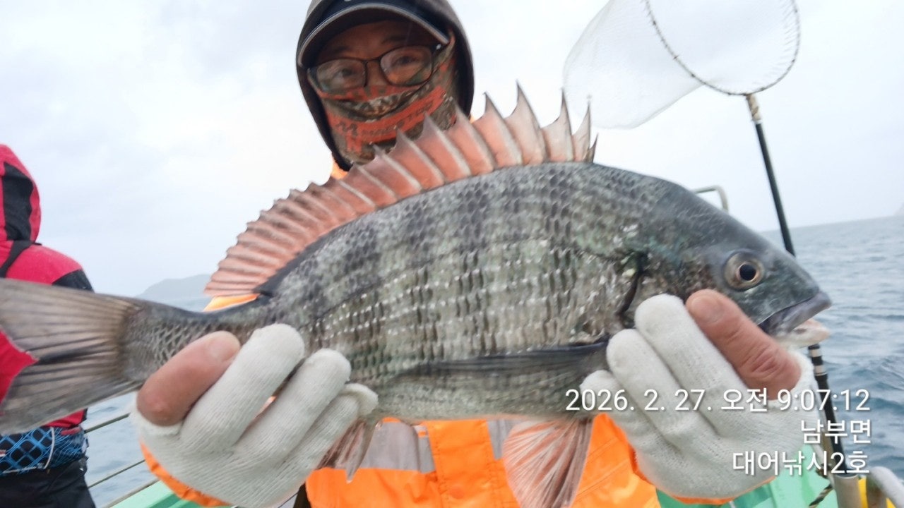 ����ڰ� �ø� �̹���