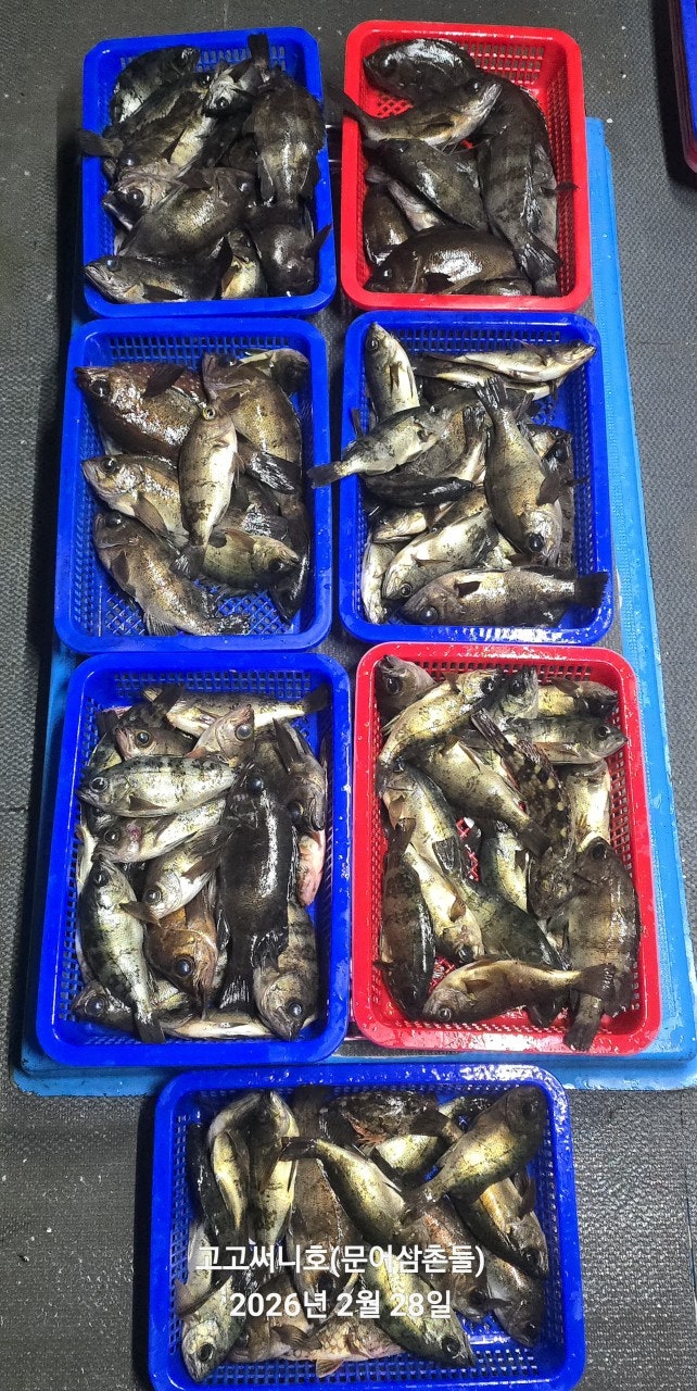 ����ڰ� �ø� �̹���