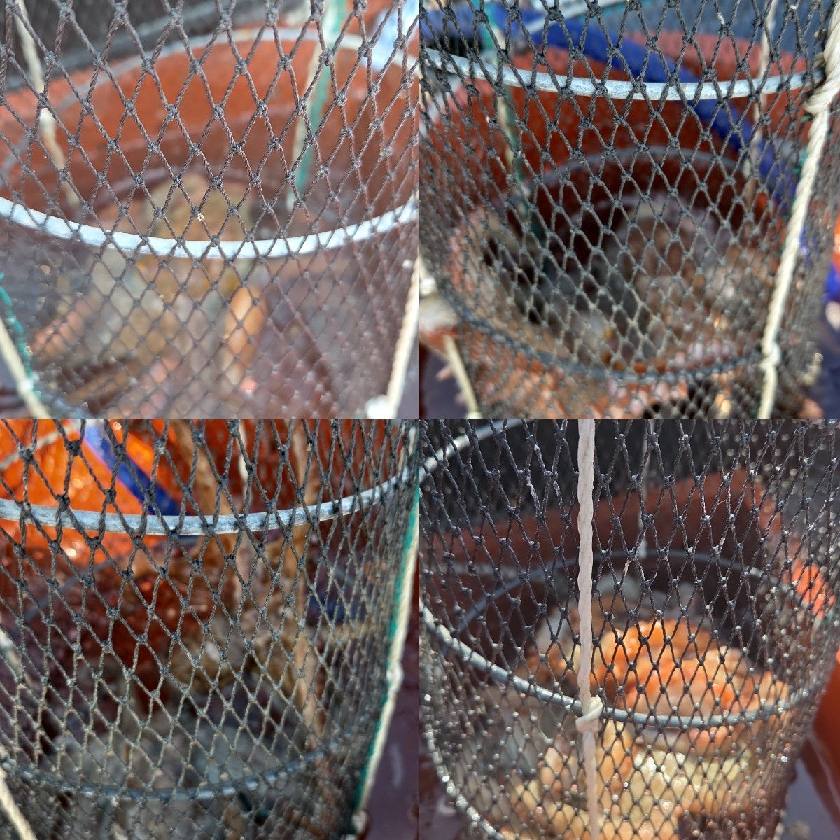 ����ڰ� �ø� �̹���