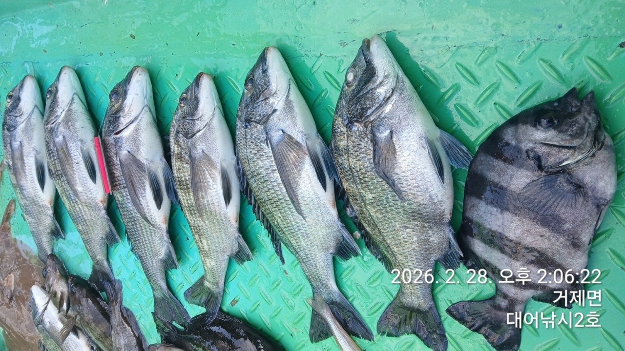 ����ڰ� �ø� �̹���