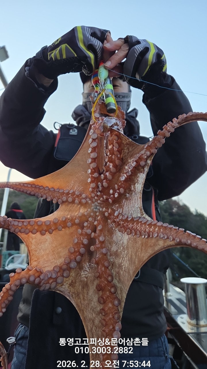 ����ڰ� �ø� �̹���