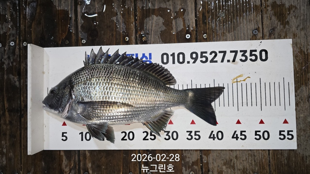 ����ڰ� �ø� �̹���