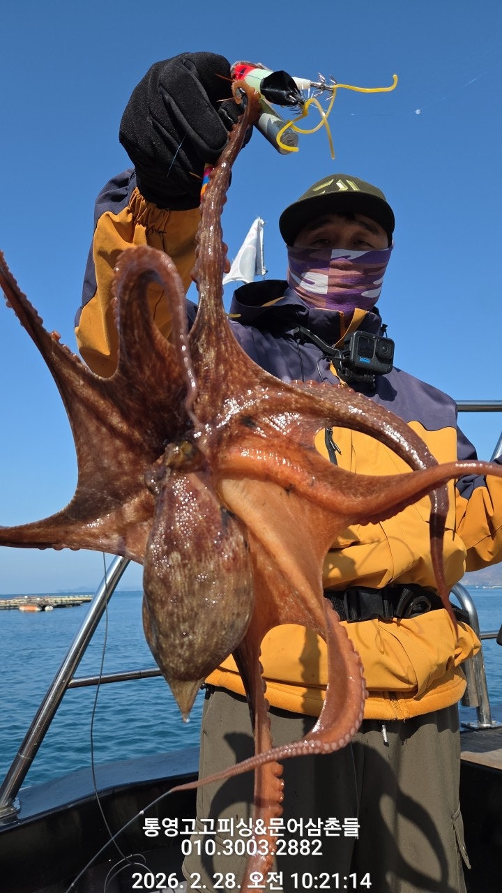 ����ڰ� �ø� �̹���