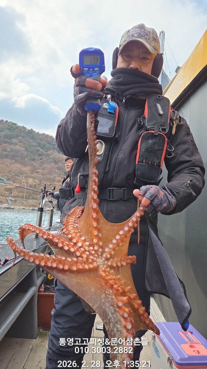 ����ڰ� �ø� �̹���