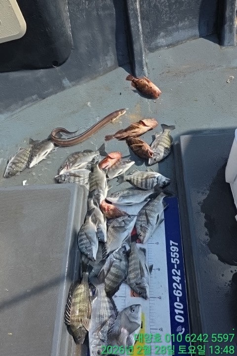 ����ڰ� �ø� �̹���