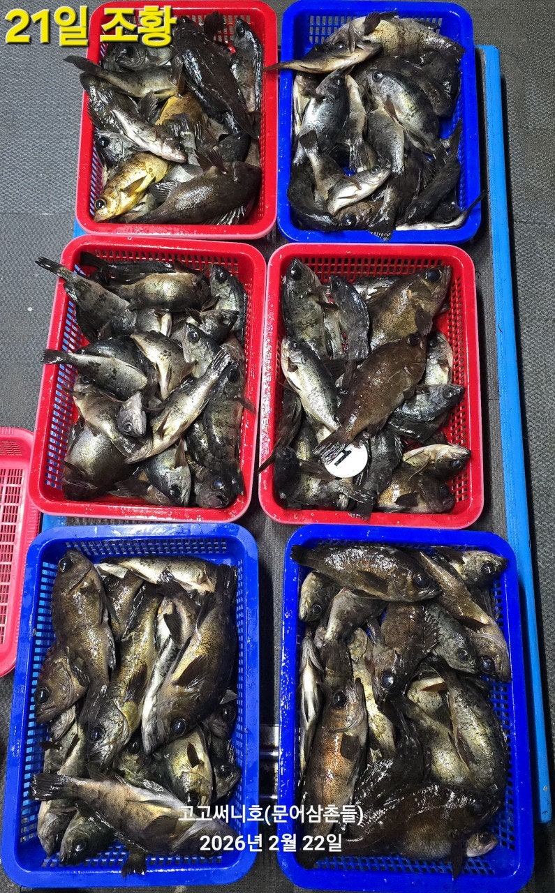 ����ڰ� �ø� �̹���