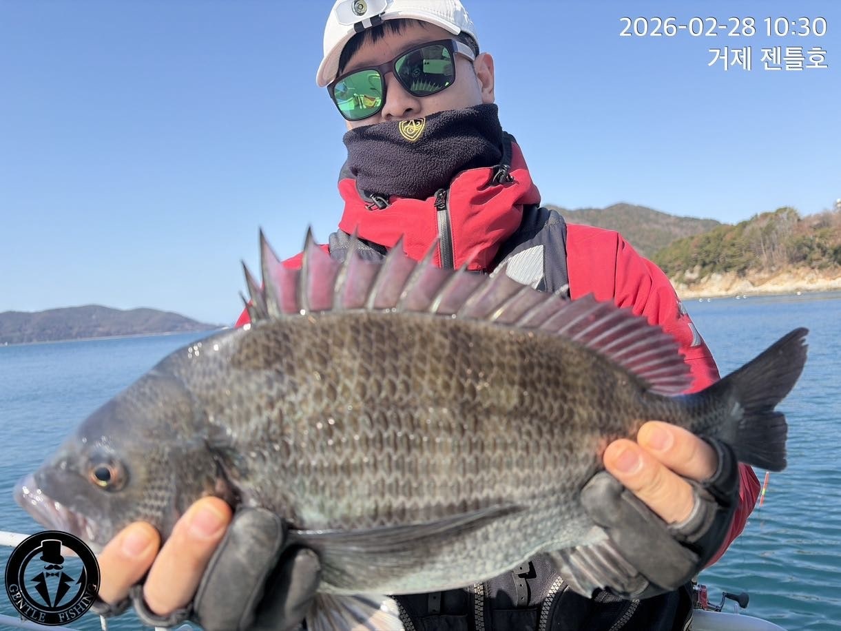 ����ڰ� �ø� �̹���