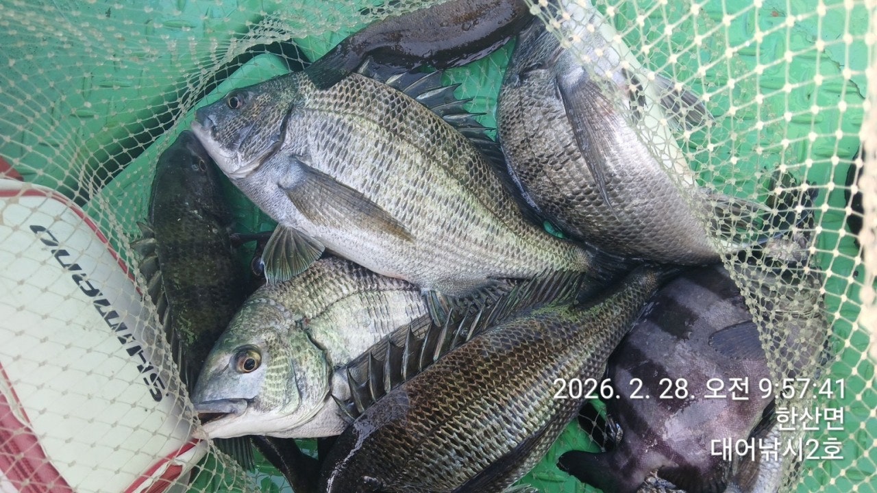 ����ڰ� �ø� �̹���