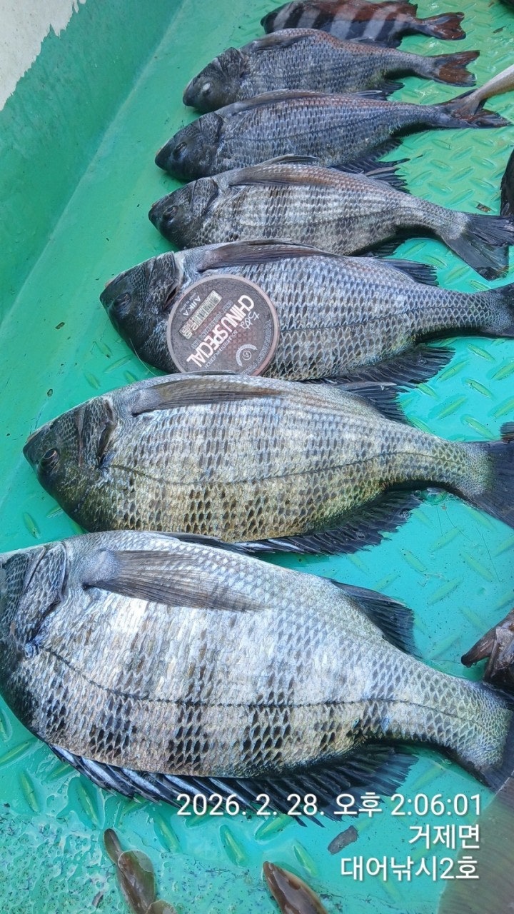 ����ڰ� �ø� �̹���