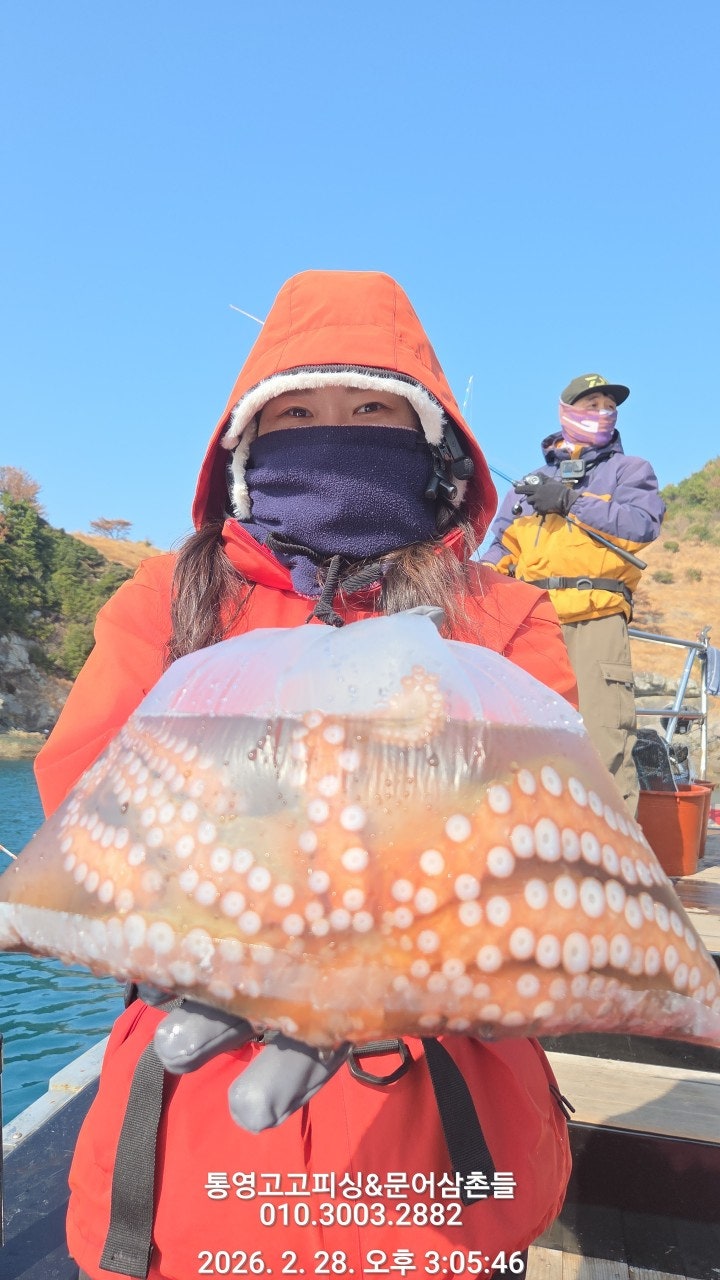 ����ڰ� �ø� �̹���