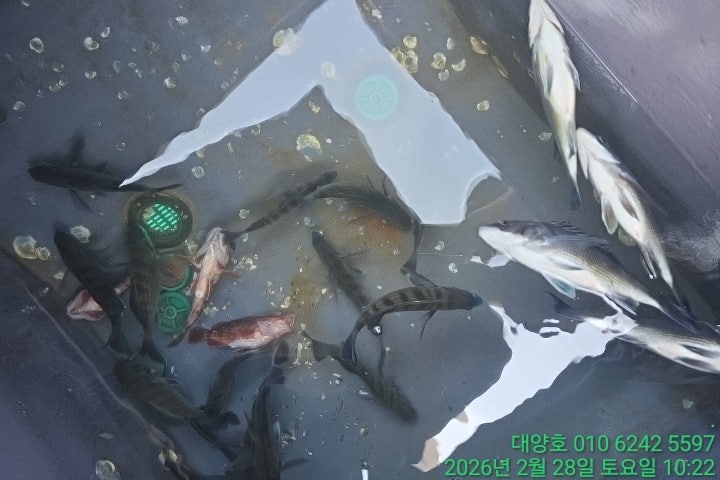 ����ڰ� �ø� �̹���