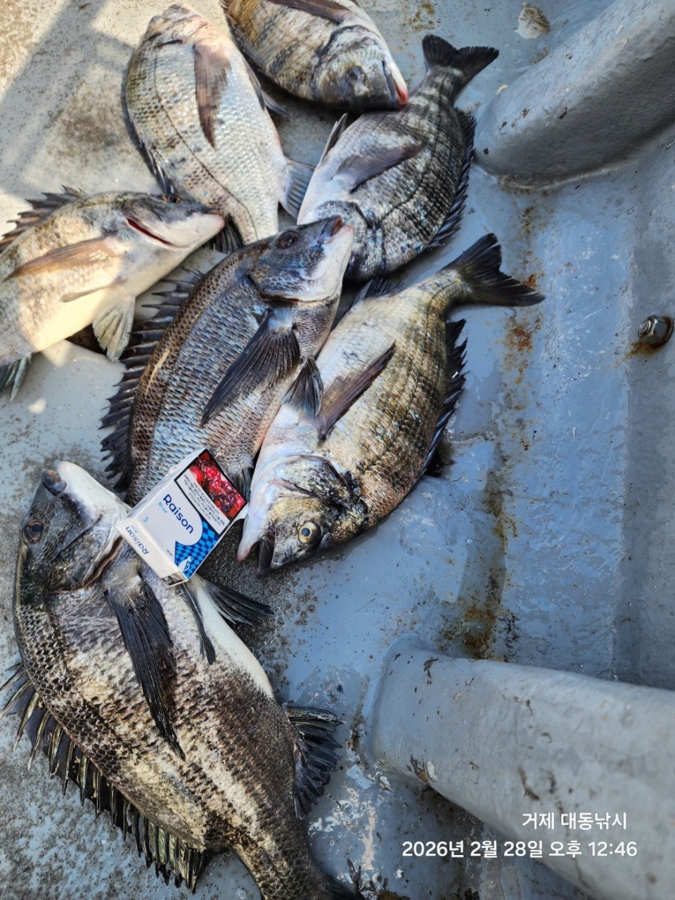 ����ڰ� �ø� �̹���