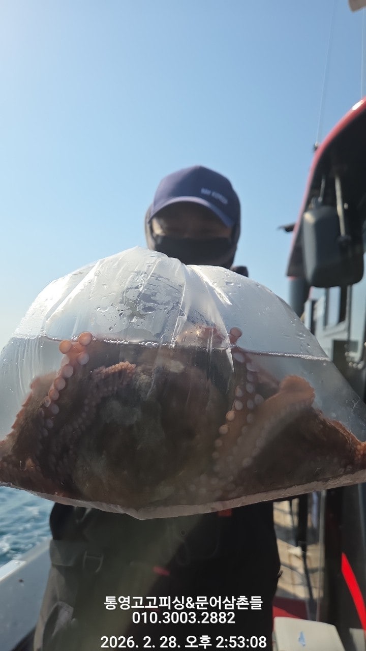 ����ڰ� �ø� �̹���