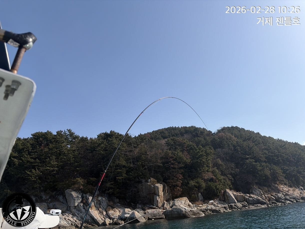 ����ڰ� �ø� �̹���