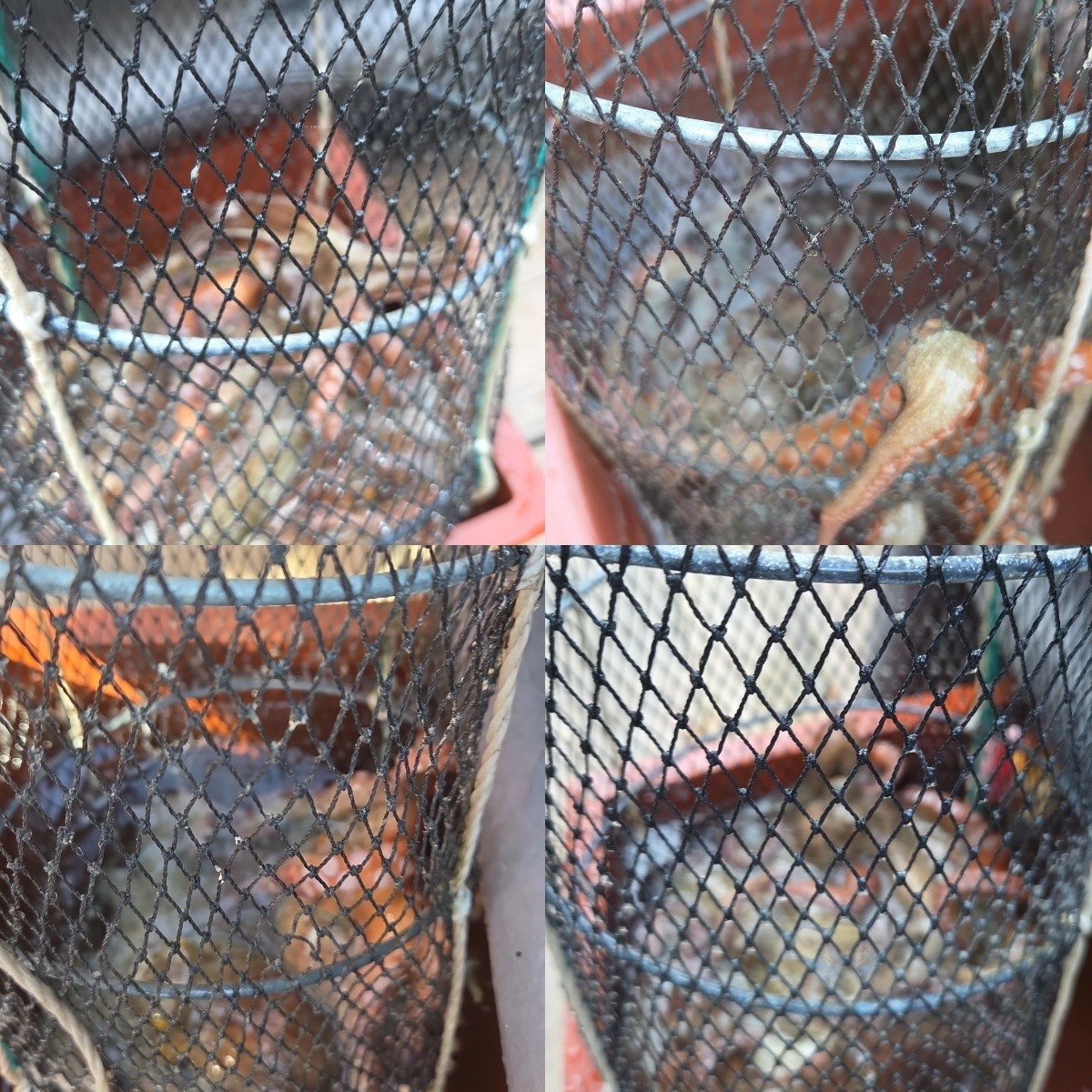 ����ڰ� �ø� �̹���