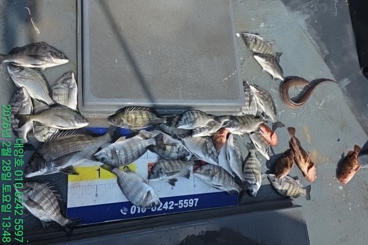 ����ڰ� �ø� �̹���