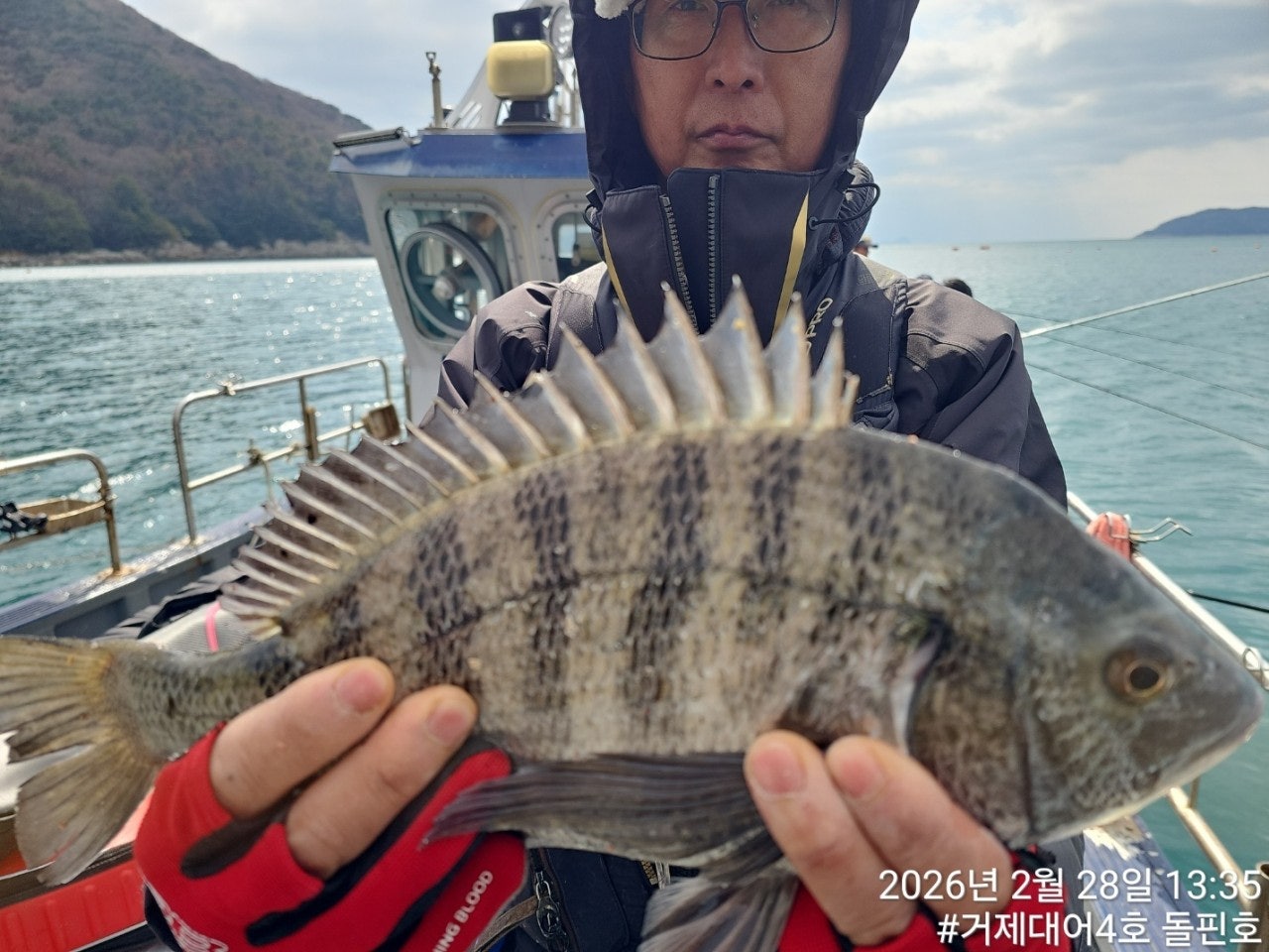 ����ڰ� �ø� �̹���