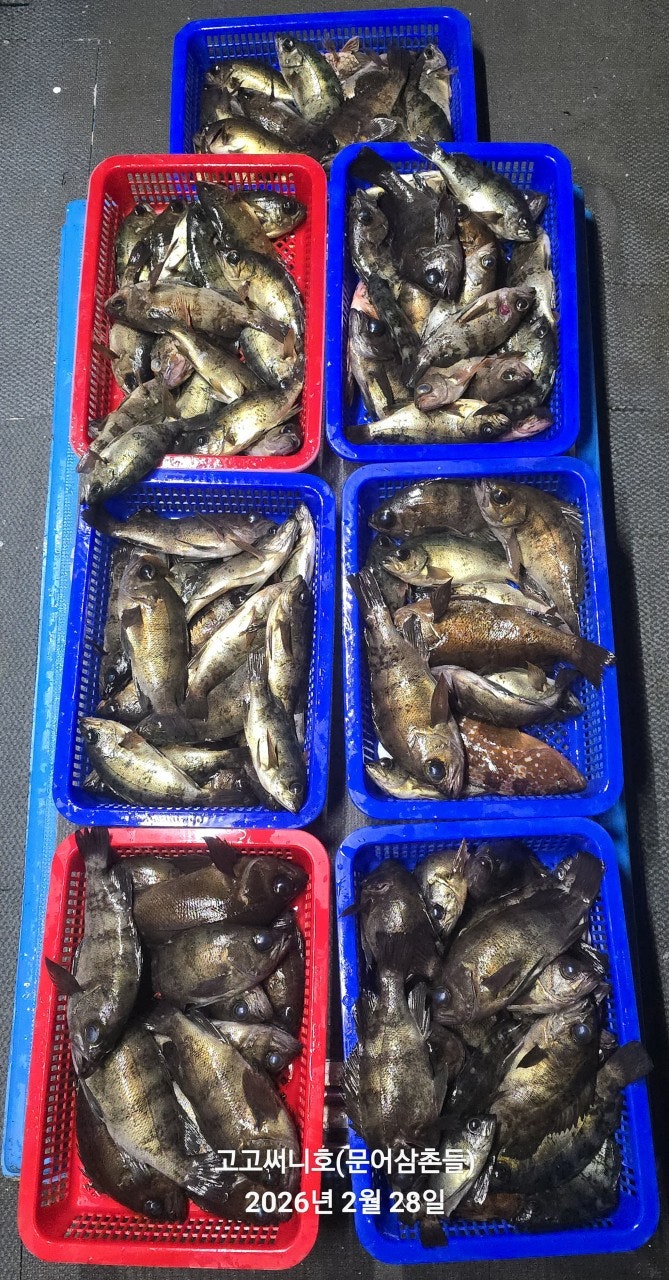 ����ڰ� �ø� �̹���