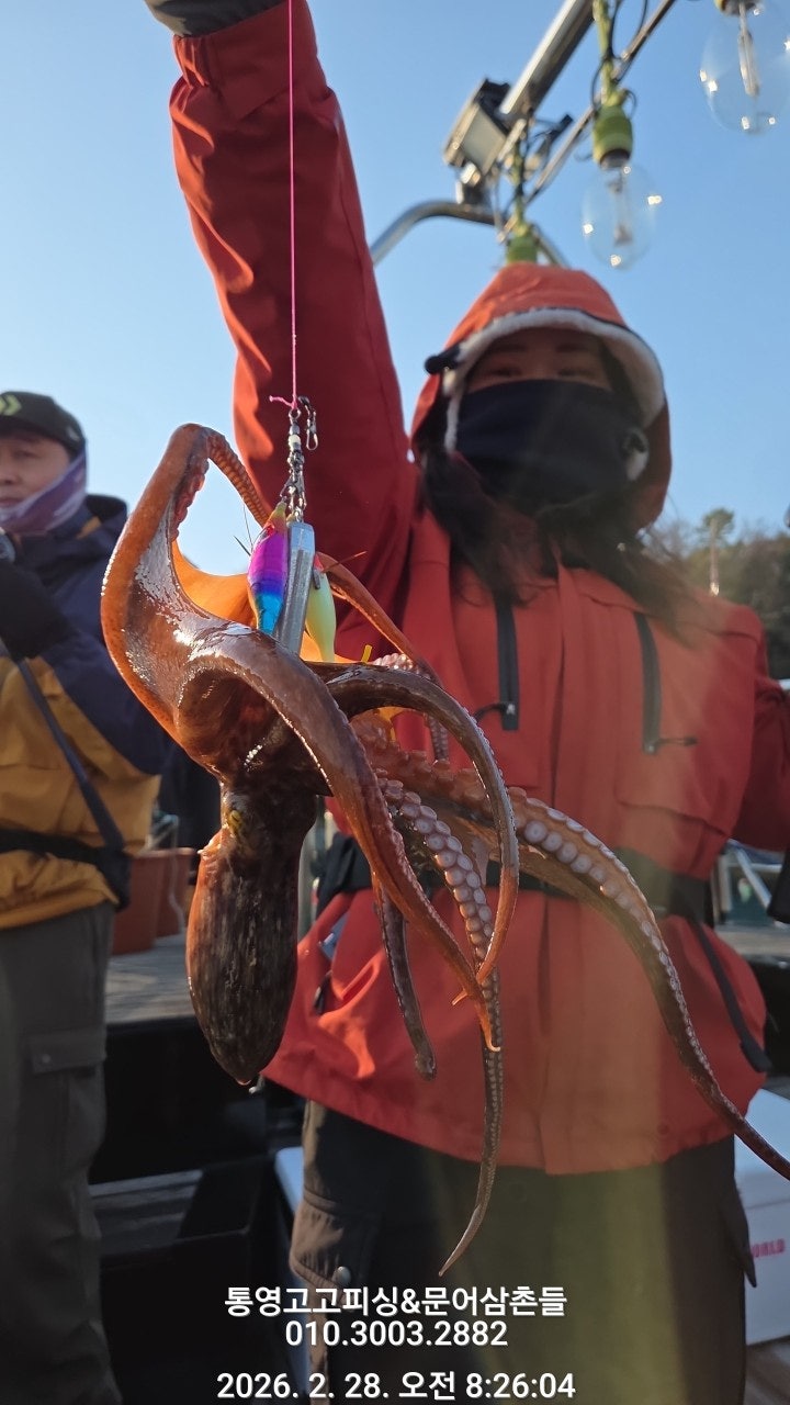 ����ڰ� �ø� �̹���