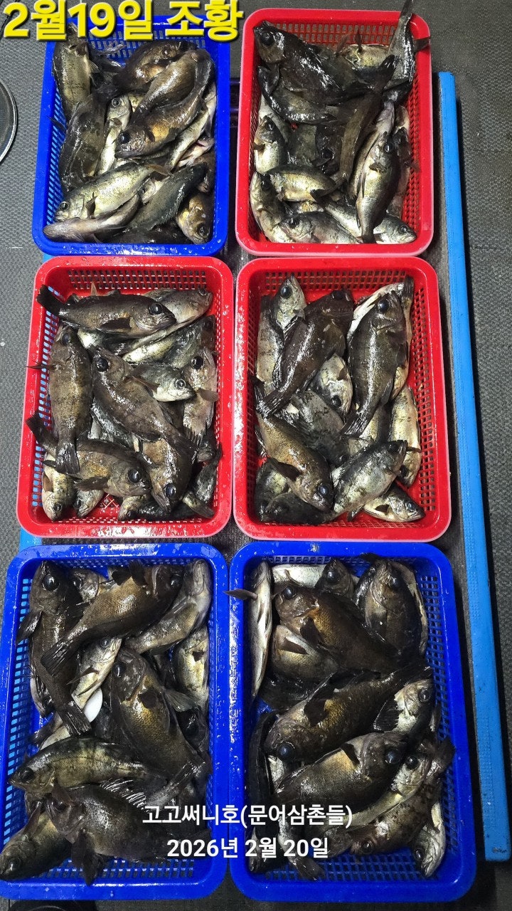 ����ڰ� �ø� �̹���