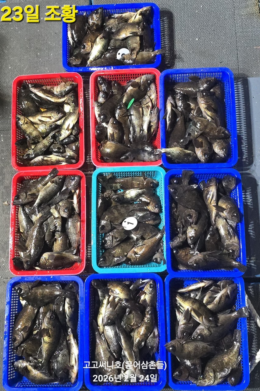 ����ڰ� �ø� �̹���