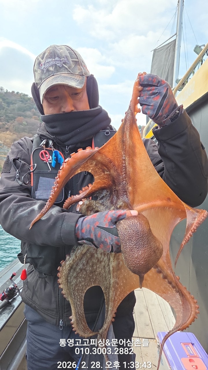 ����ڰ� �ø� �̹���