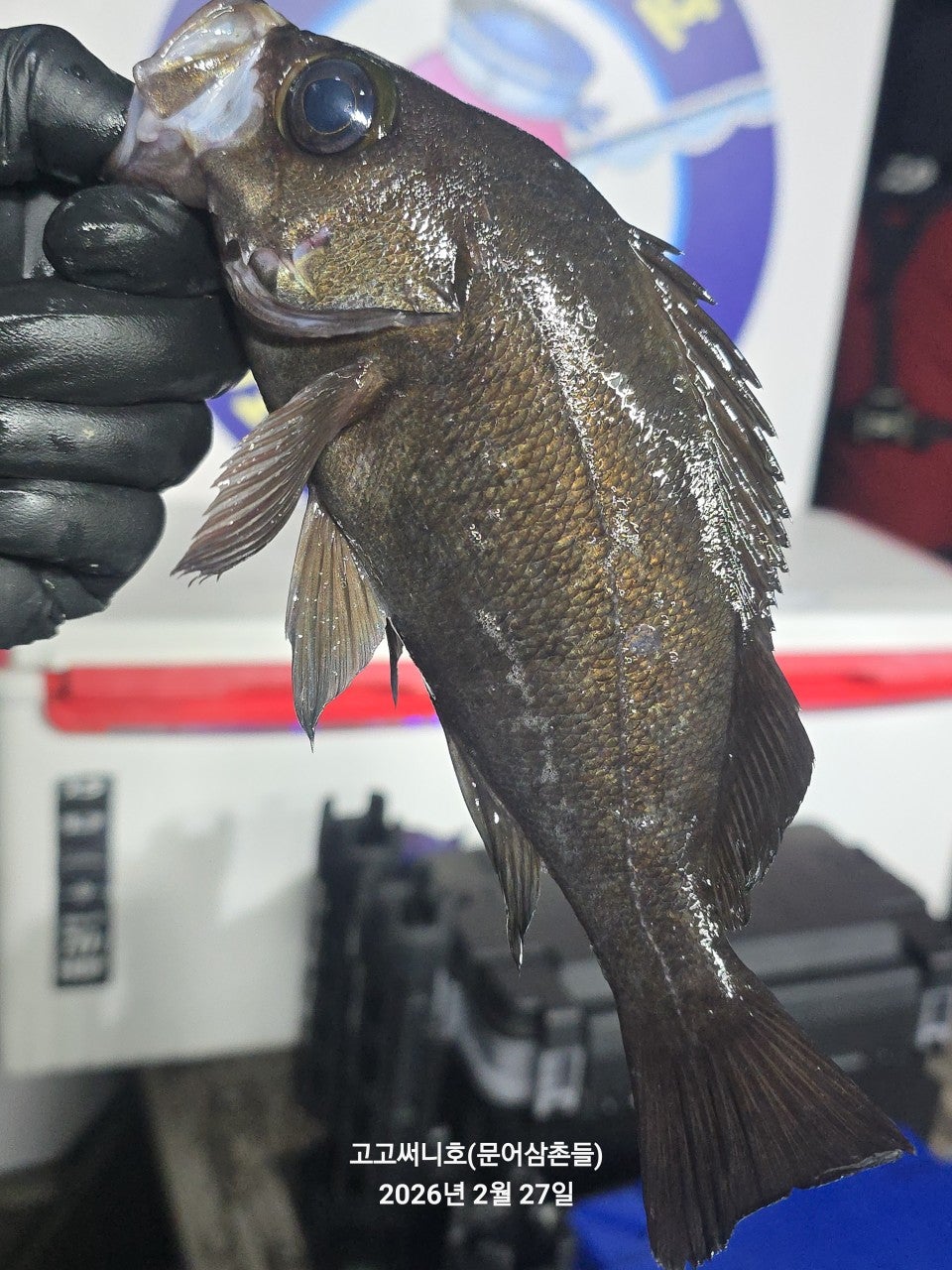 ����ڰ� �ø� �̹���