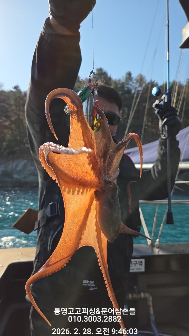 ����ڰ� �ø� �̹���