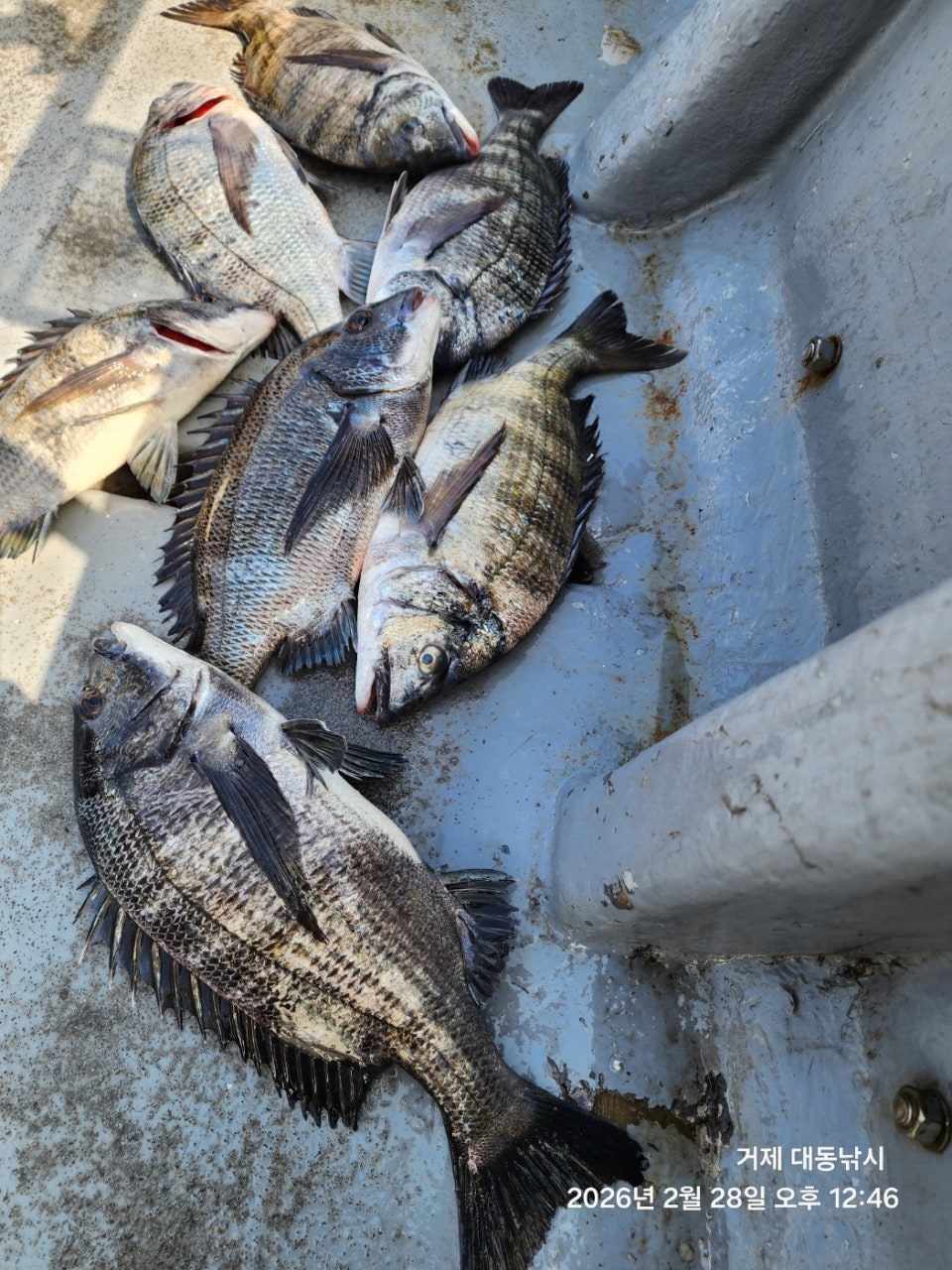 ����ڰ� �ø� �̹���