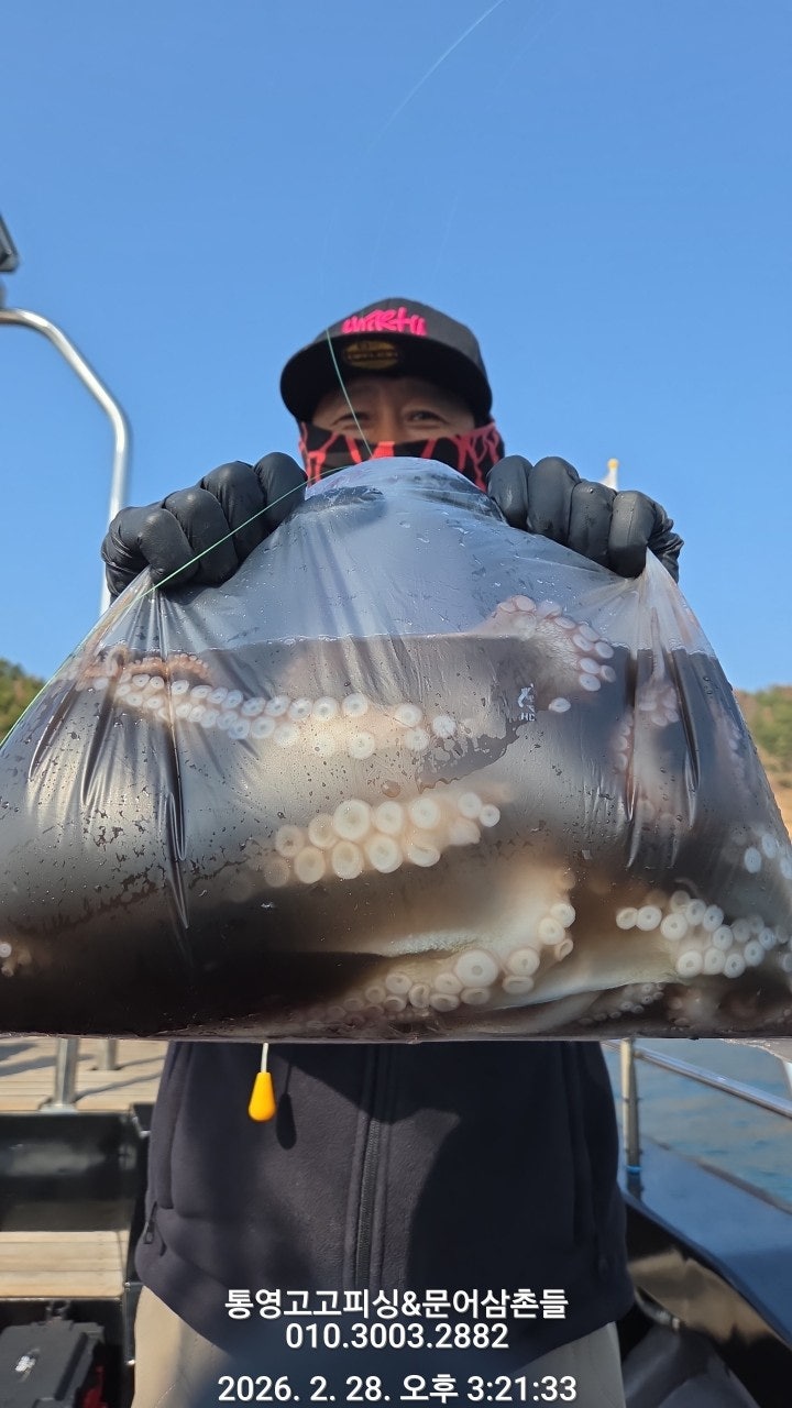 ����ڰ� �ø� �̹���