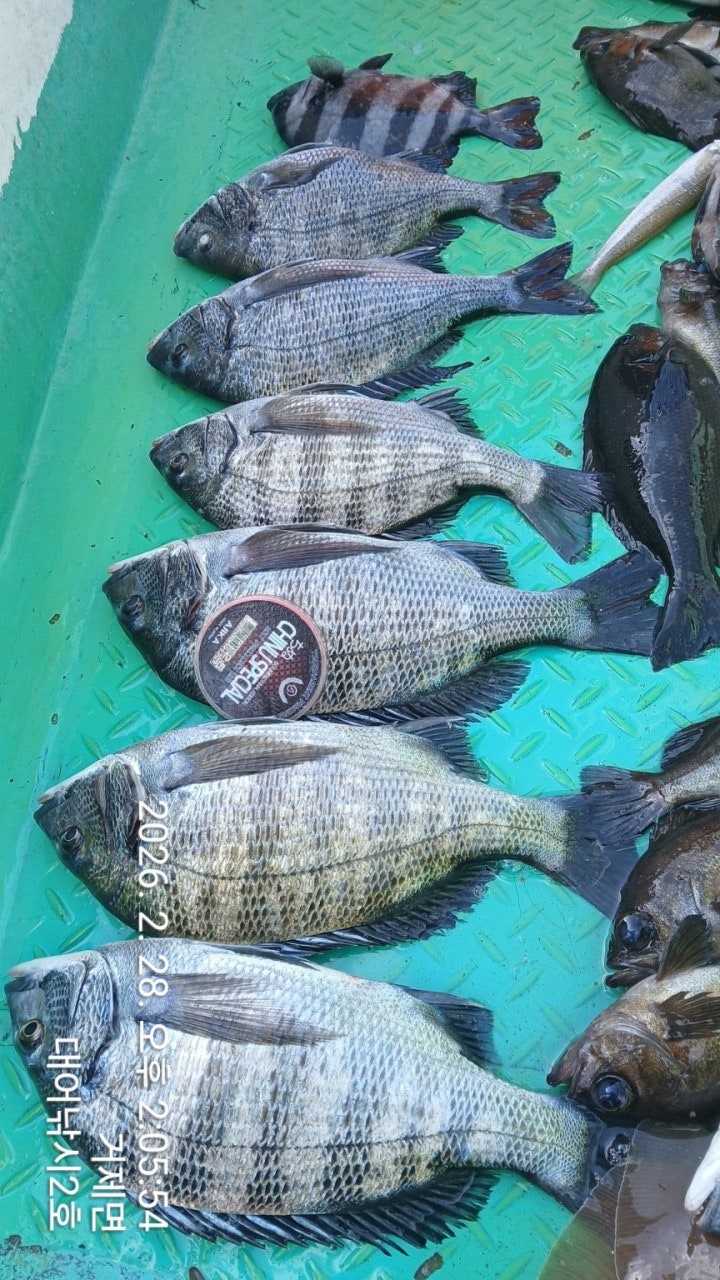 ����ڰ� �ø� �̹���