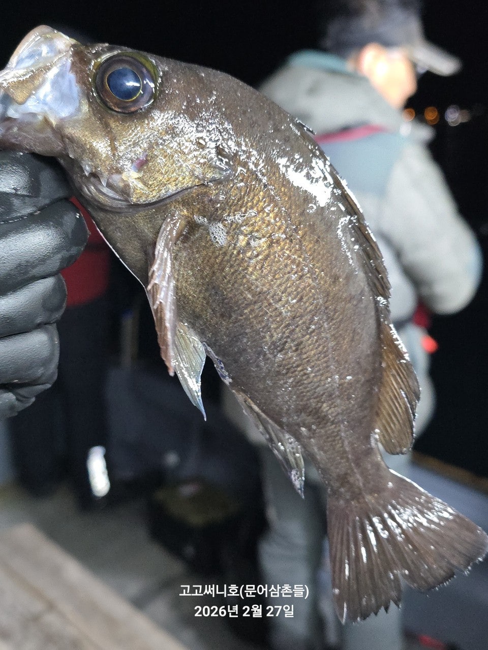 ����ڰ� �ø� �̹���