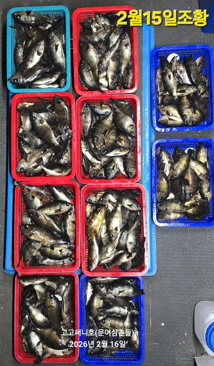 ����ڰ� �ø� �̹���