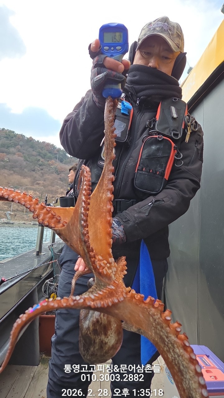 ����ڰ� �ø� �̹���